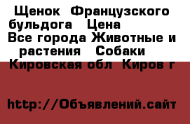 Щенок  Французского бульдога › Цена ­ 35 000 - Все города Животные и растения » Собаки   . Кировская обл.,Киров г.